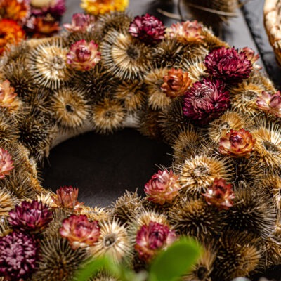 Beautiful advent wreath for upcoming christmas holiday